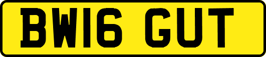 BW16GUT