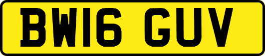 BW16GUV