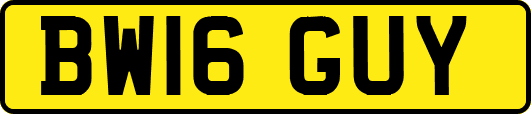 BW16GUY