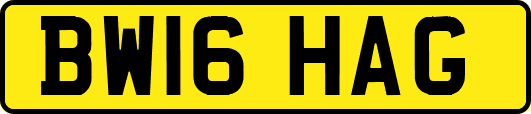 BW16HAG