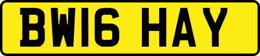 BW16HAY