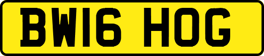 BW16HOG
