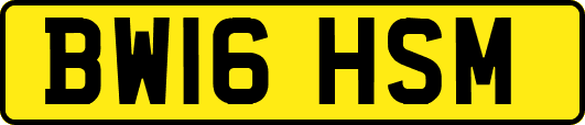 BW16HSM