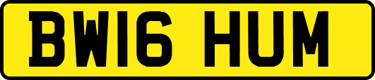 BW16HUM