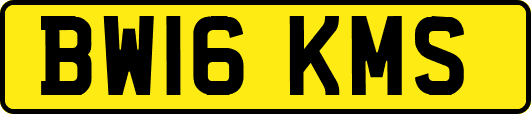 BW16KMS