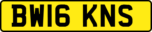 BW16KNS