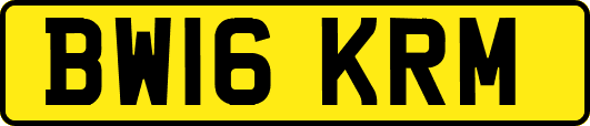 BW16KRM