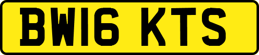 BW16KTS