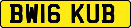 BW16KUB