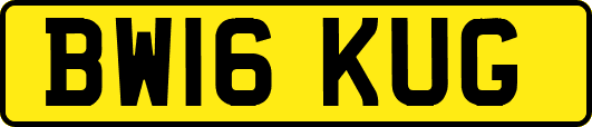 BW16KUG