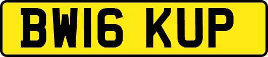 BW16KUP