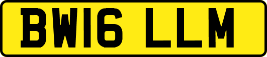 BW16LLM