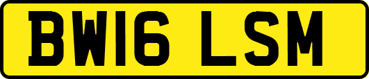BW16LSM