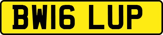 BW16LUP