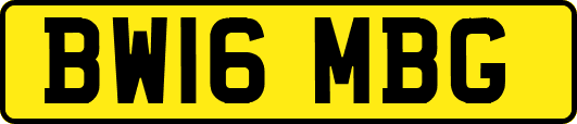 BW16MBG