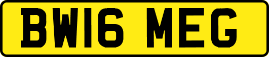 BW16MEG