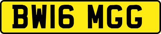 BW16MGG