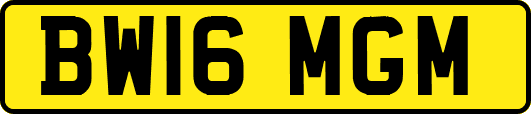 BW16MGM