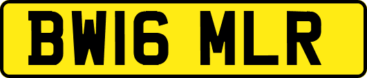 BW16MLR