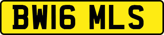 BW16MLS