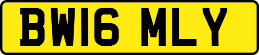 BW16MLY