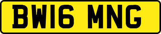 BW16MNG