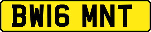 BW16MNT