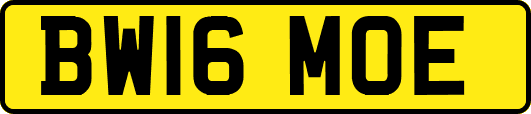 BW16MOE