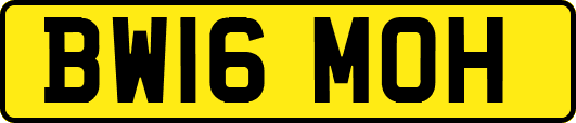 BW16MOH