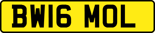 BW16MOL