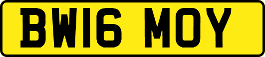 BW16MOY
