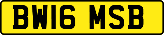 BW16MSB