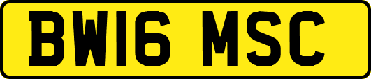 BW16MSC