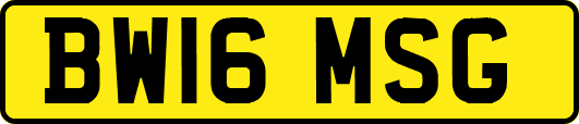 BW16MSG