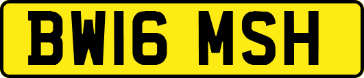 BW16MSH