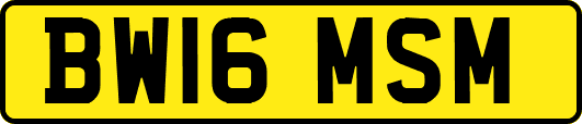 BW16MSM