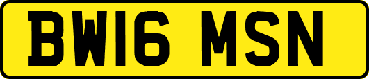 BW16MSN