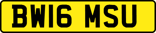 BW16MSU