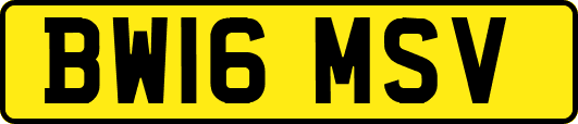 BW16MSV