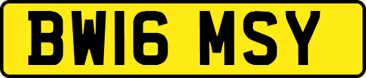 BW16MSY