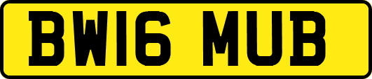 BW16MUB