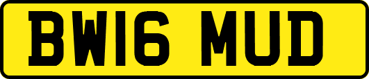 BW16MUD