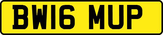 BW16MUP
