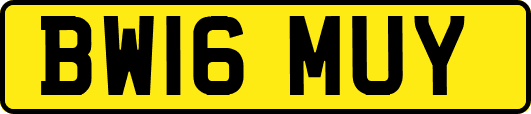 BW16MUY