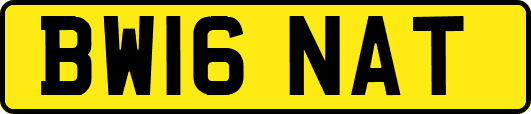 BW16NAT