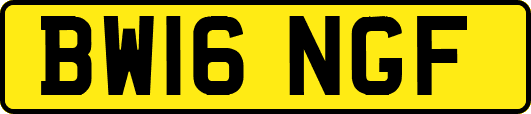 BW16NGF
