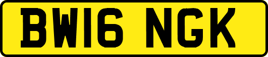 BW16NGK