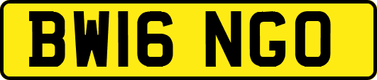 BW16NGO