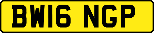 BW16NGP