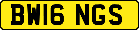 BW16NGS